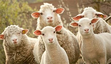 支付宝支付19天瓜分9亿现金活动已开奖！已撸42.2元！