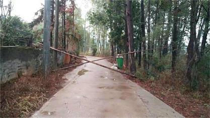 肺炎疫情肆虐，2020年春节注定是难忘的